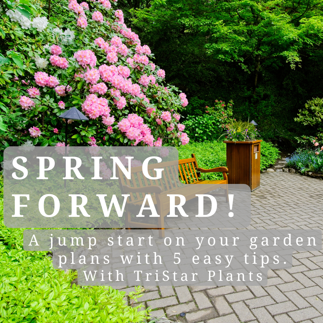 Easy Garden tips for this spring
