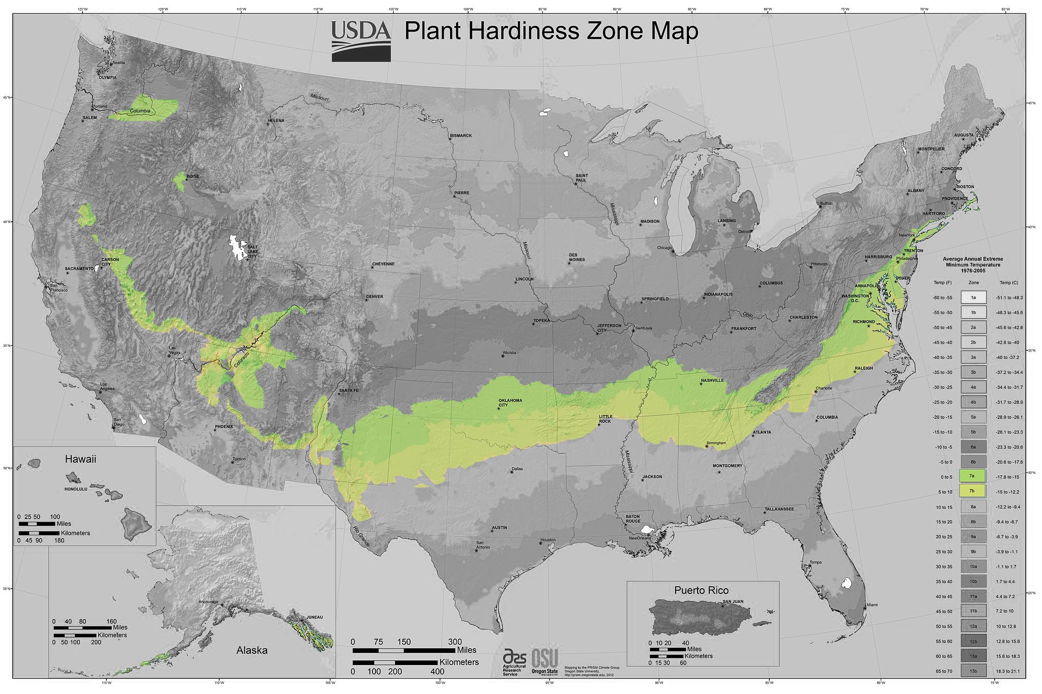 Shrubs for Zone 7