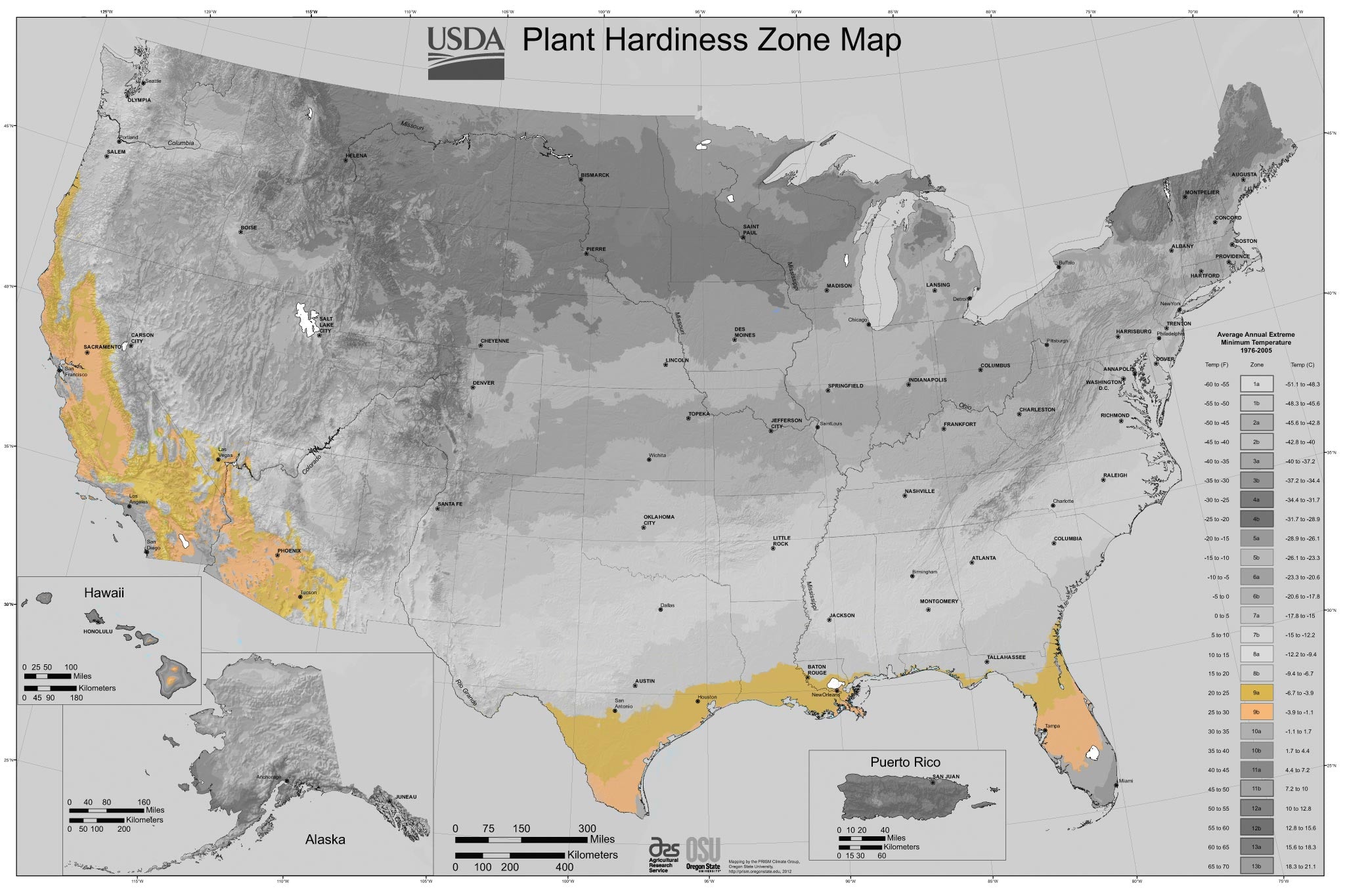 Trees for Zone 9