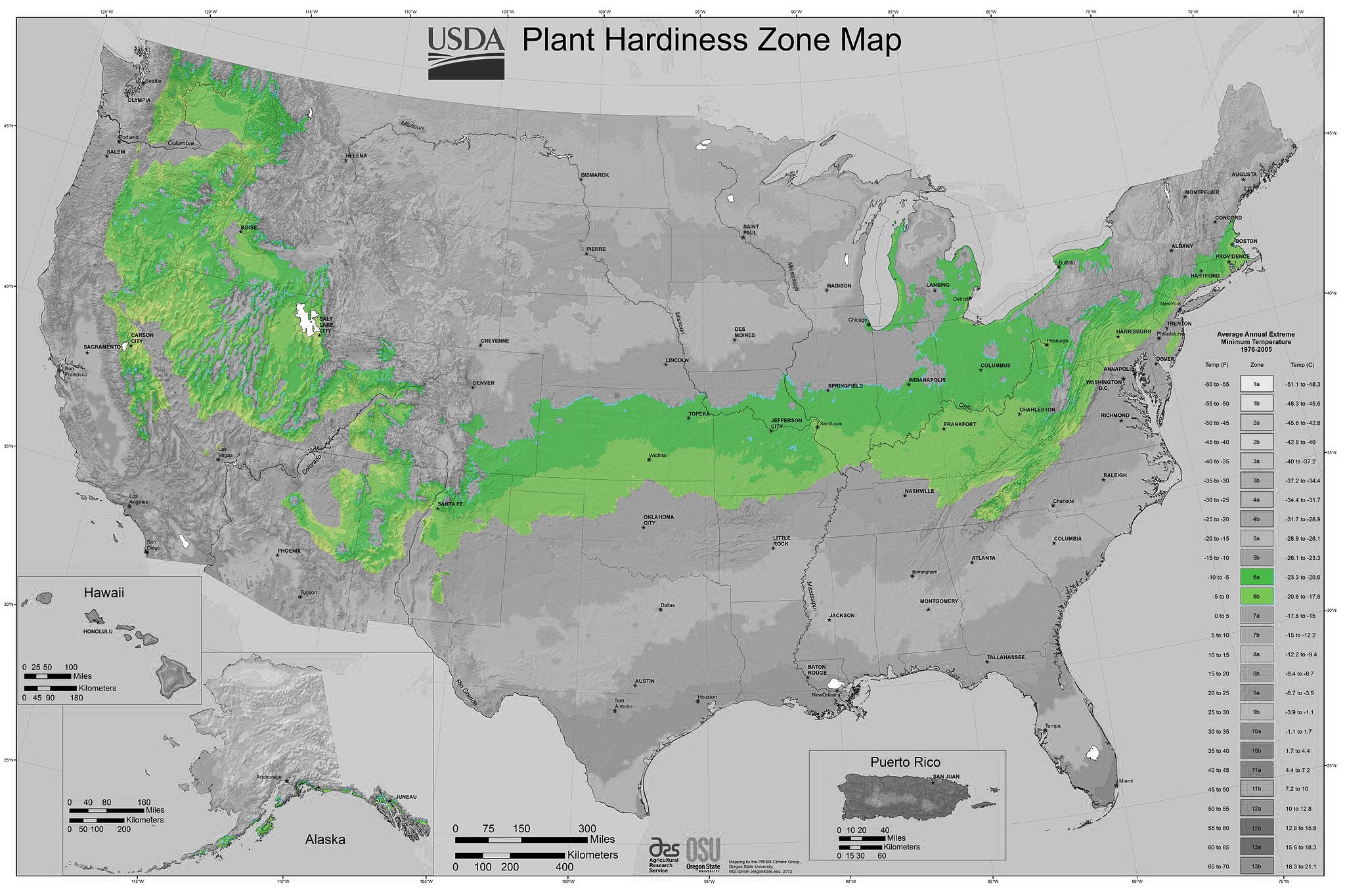 Shrubs for Zone 6