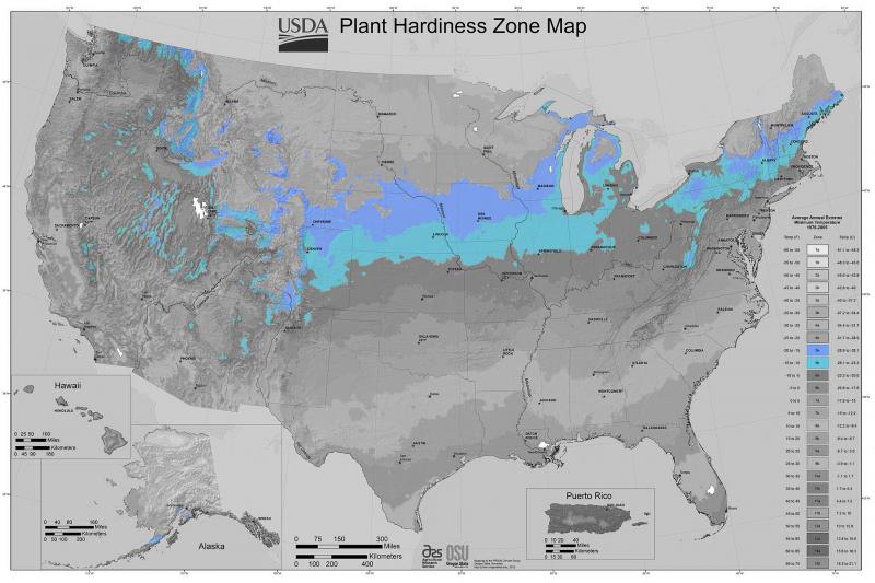 Shrubs for Zone 5