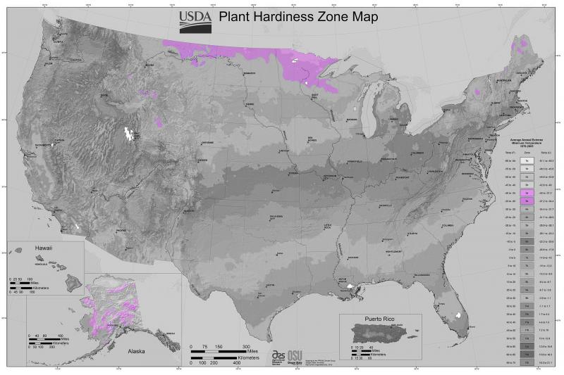 Trees for Zone 3