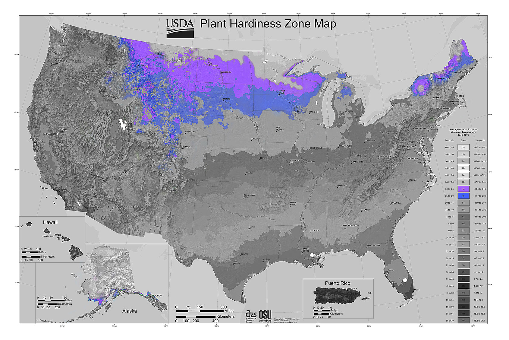 Shrubs for Zone 4