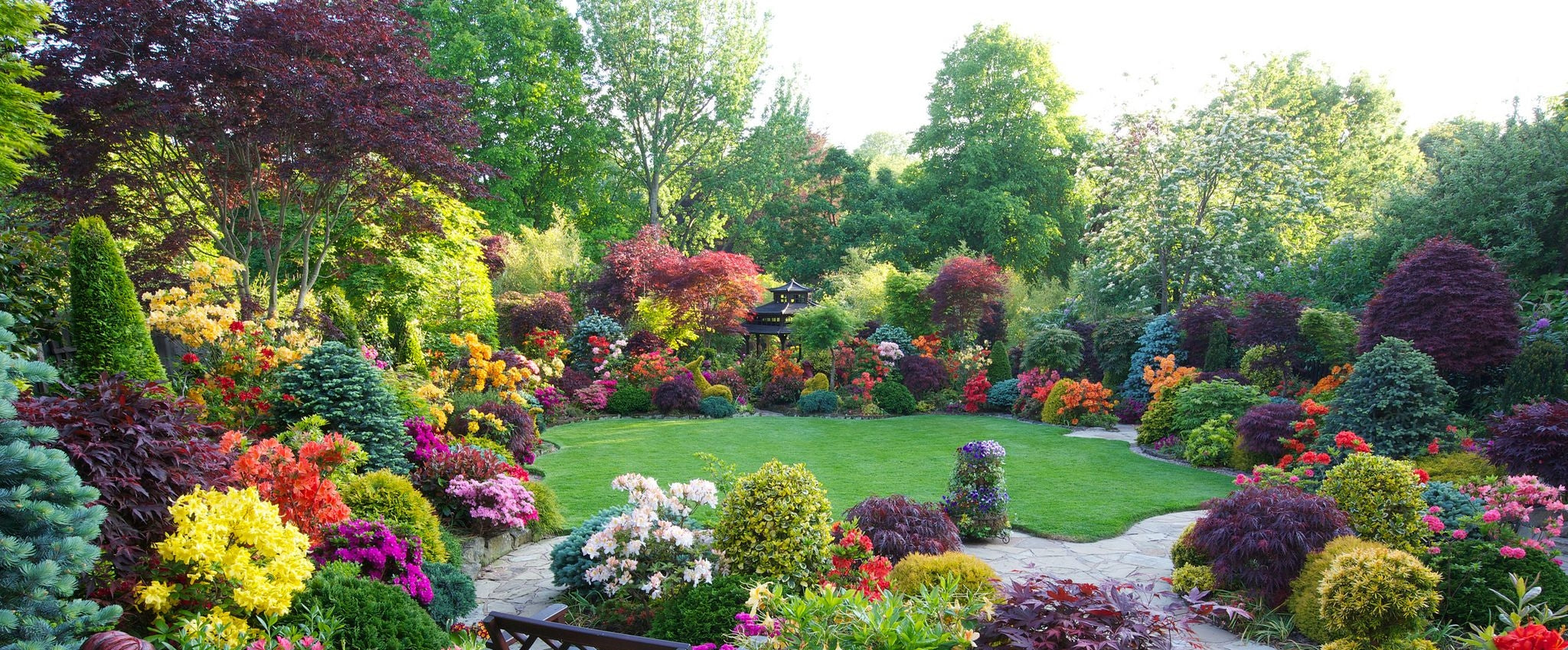 Summer Plants Recommendations