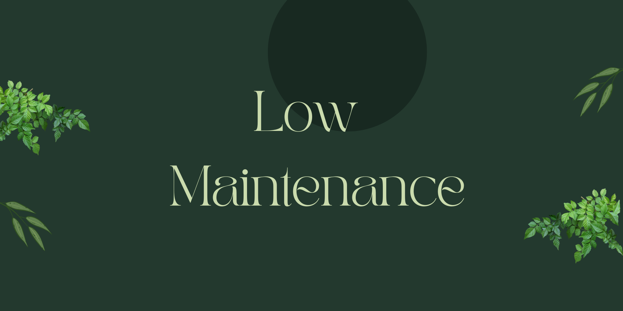 Low Maintenance