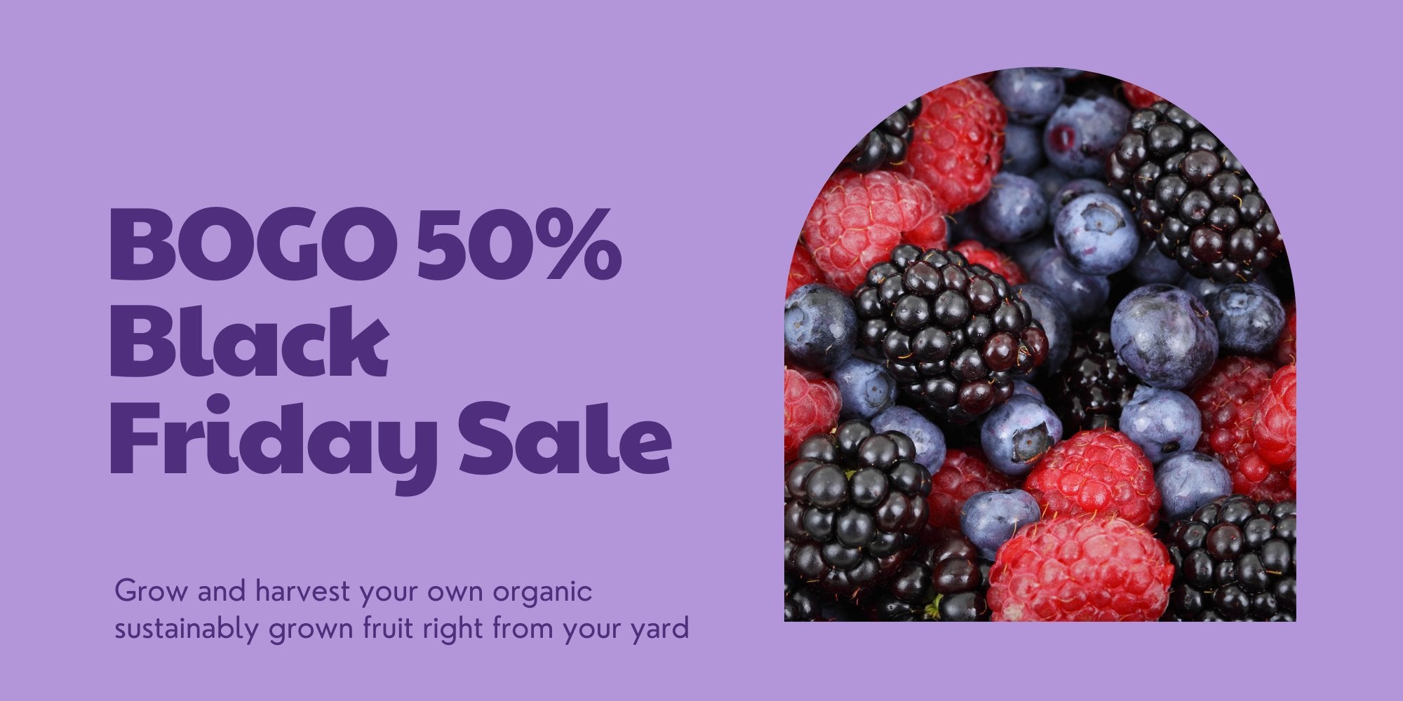 Berrylicious Bundle