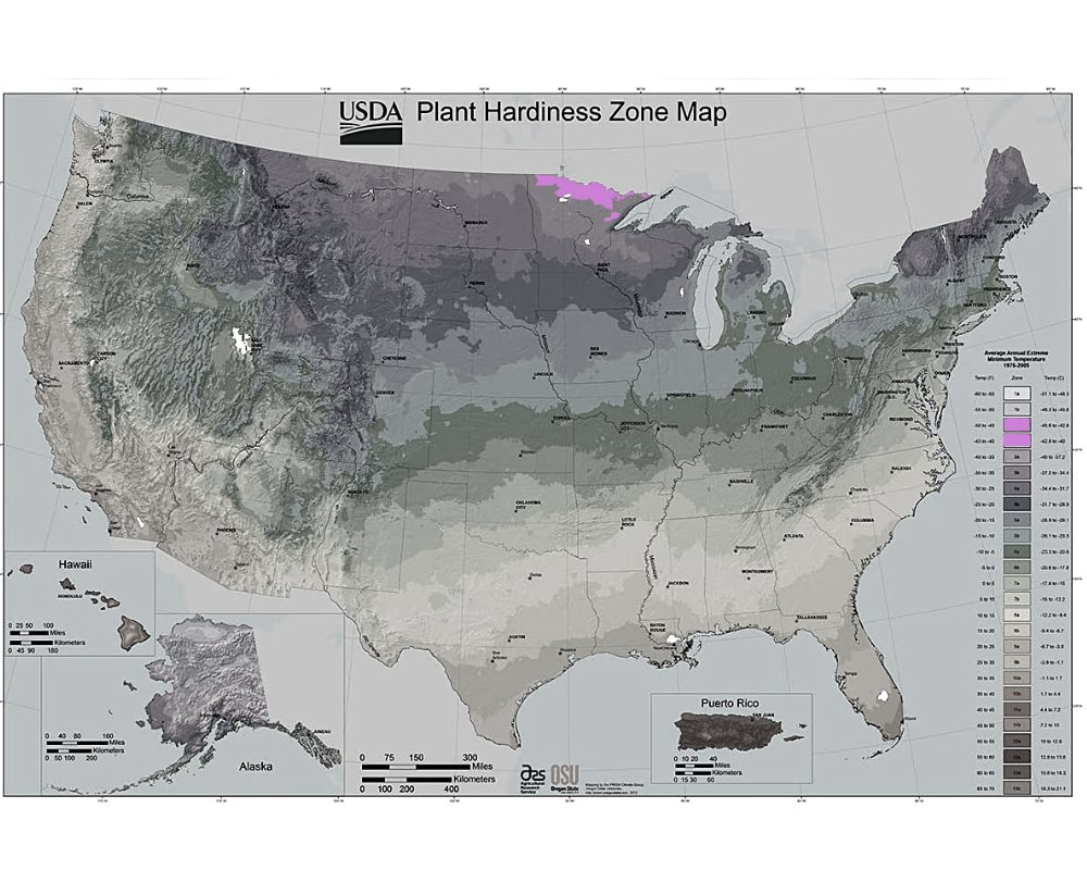 Trees for Zone 2