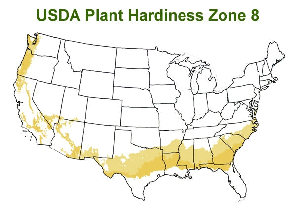 Trees for Zone 8