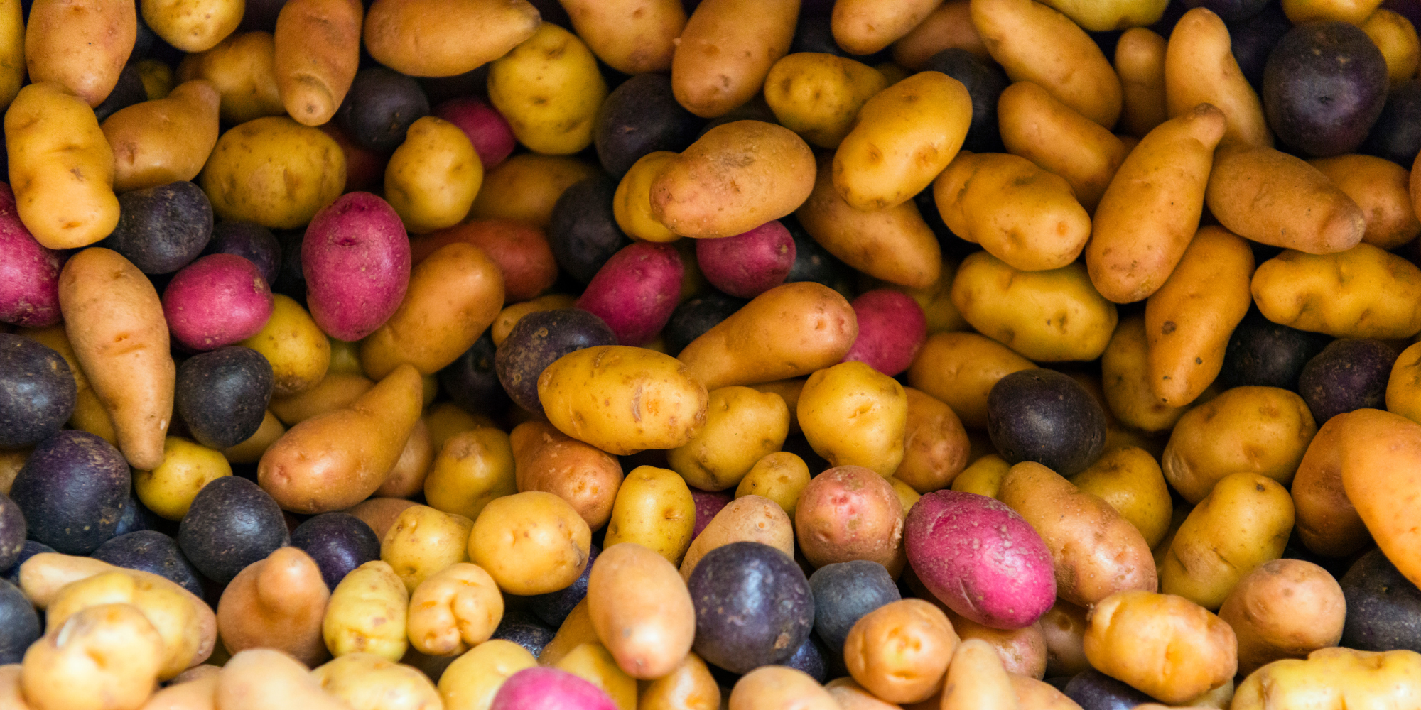 Potatoes Plants for Sale