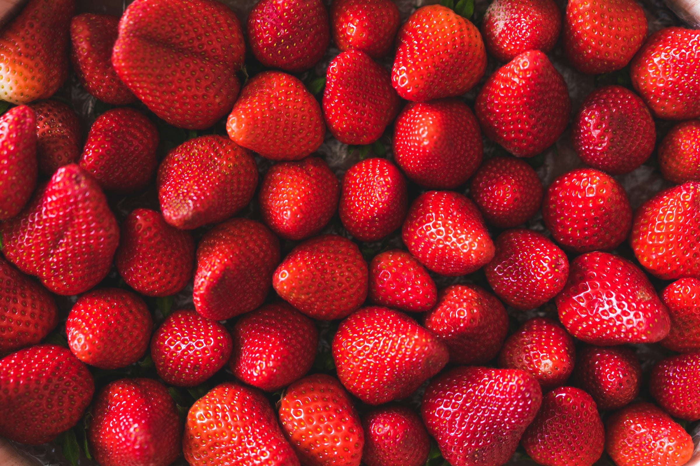 Strawberries Plants for Sale