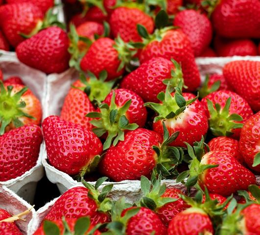 Strawberries Everbearing 'Ozark Beauty'