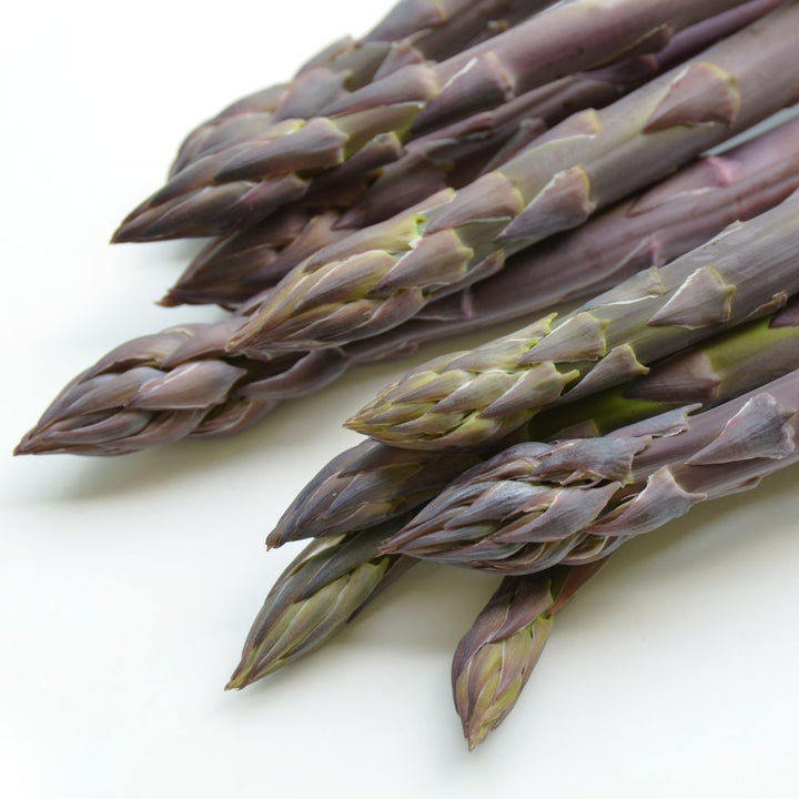 Asparagus 'Purple Passion'