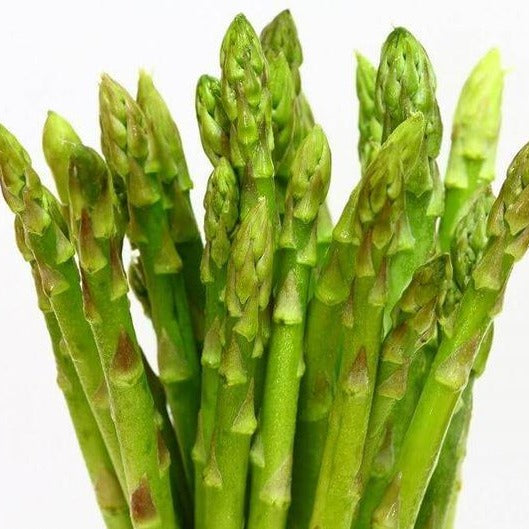 'Mary Washington' Asparagus Bare root