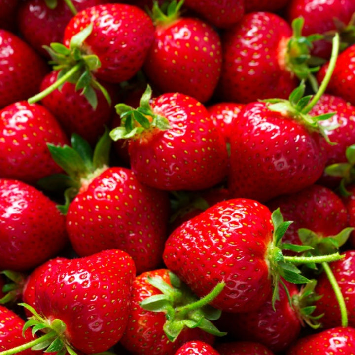 Eversweet Strawberry bareroot