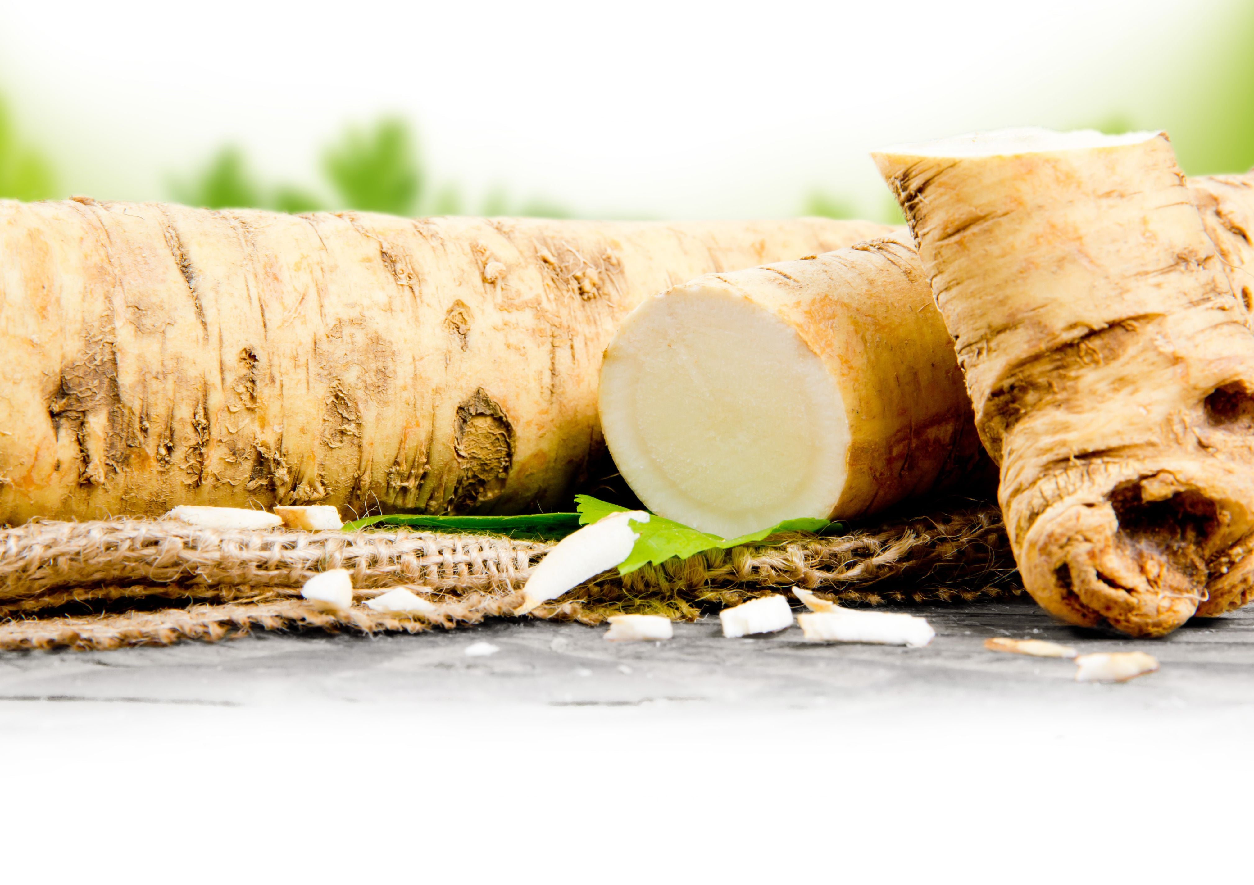 Health Benefits of Horseradish Tristar Plants