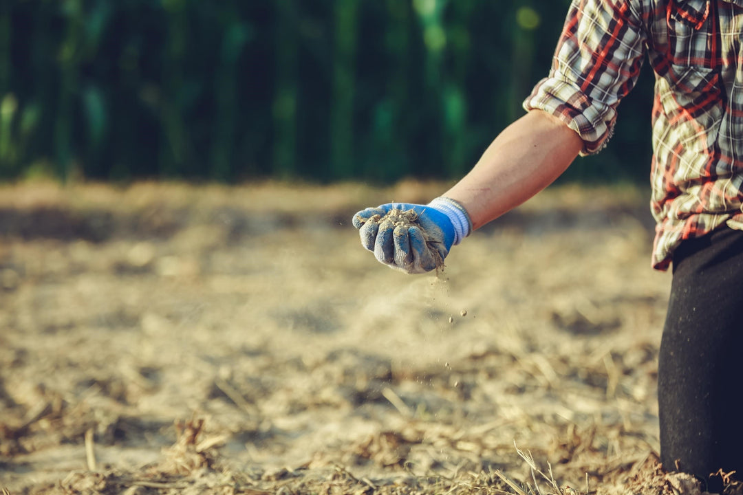 What is soil pH and why it is important?