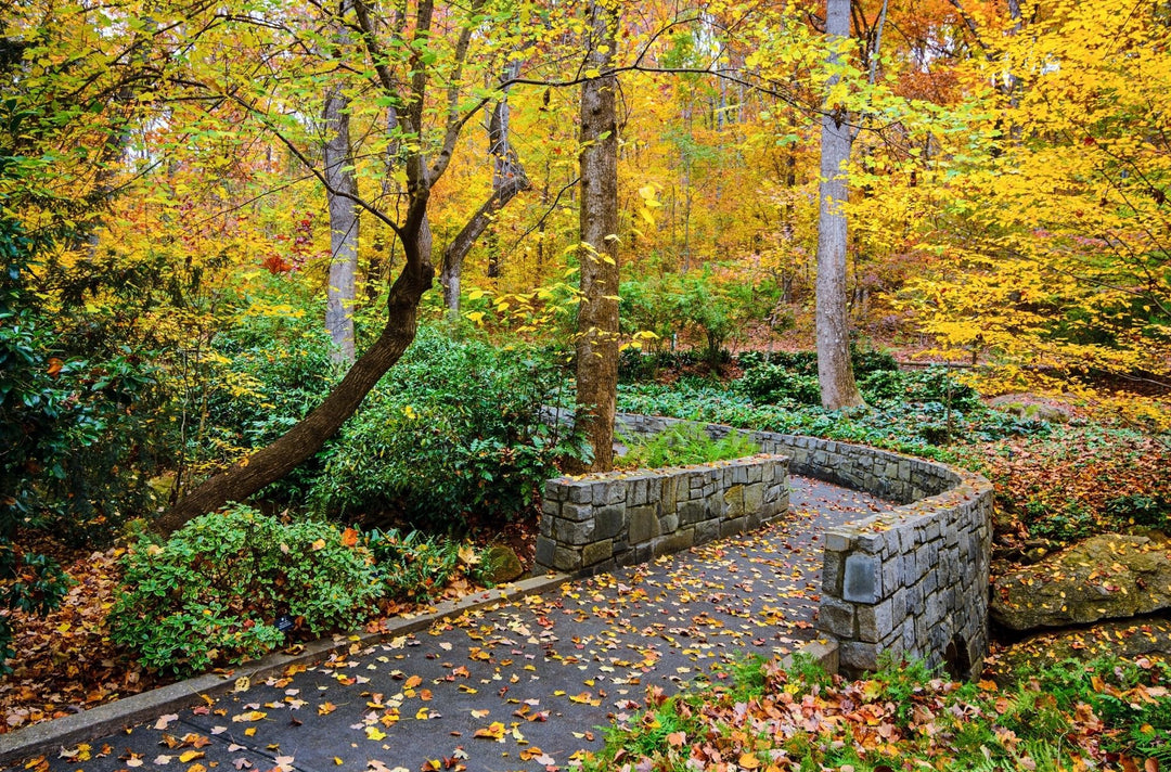 Is your yard ready for Autumn?