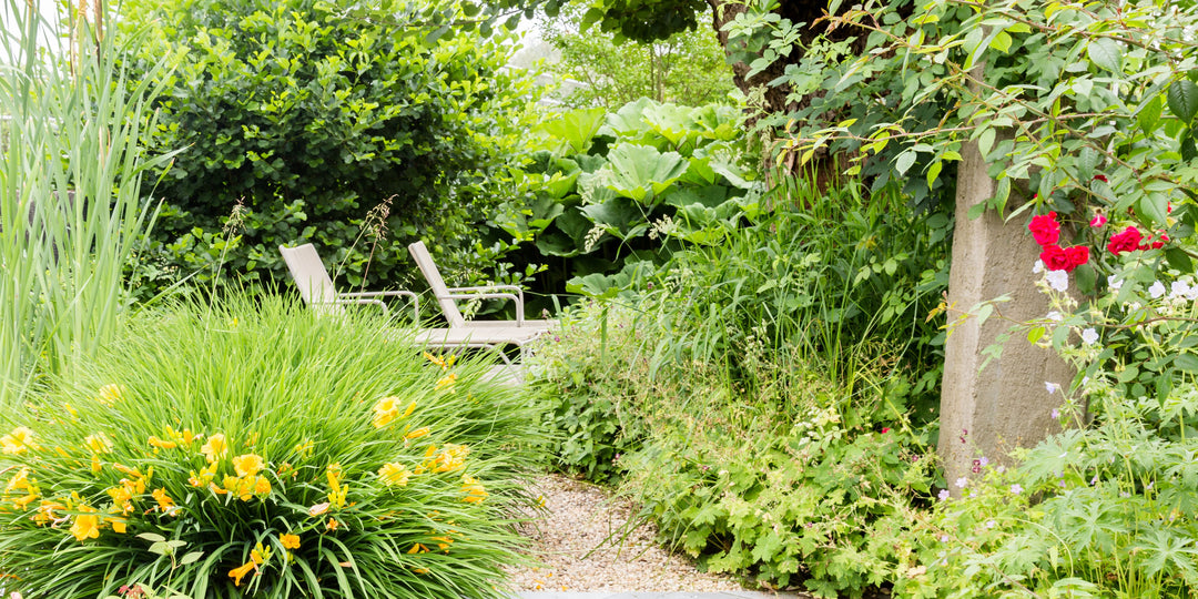 A Guide to Creating a Captivating Garden Oasis