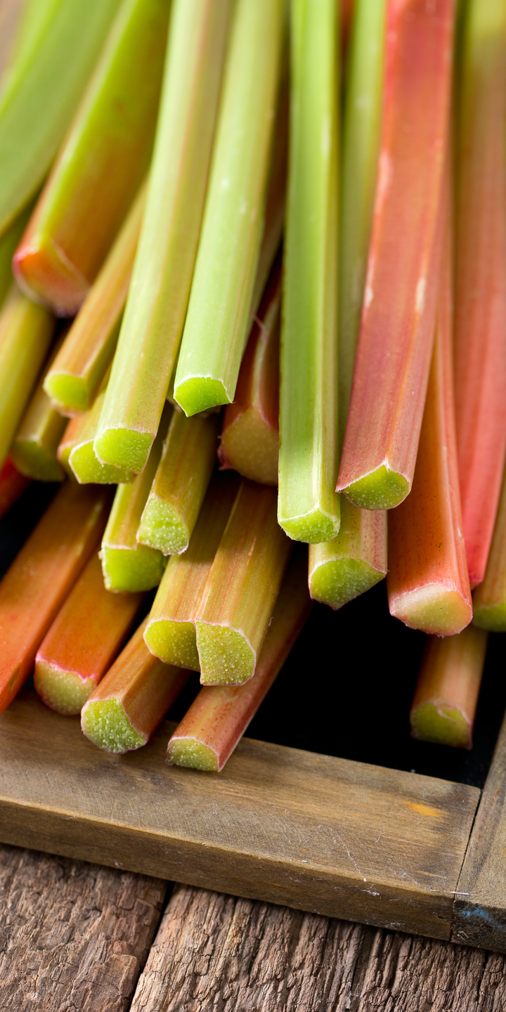 Rhubarb 'Victoria'