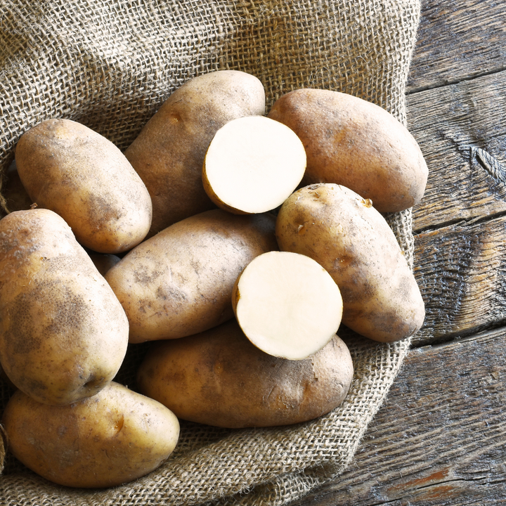 Seed Potato 'Russet'