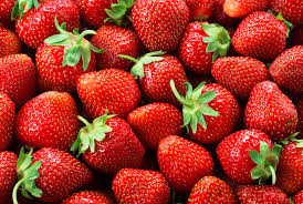 Strawberries Junebearing 'Sequoia'
