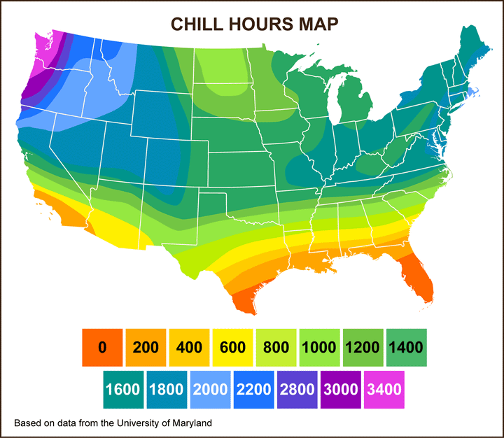 Chill Hours Map