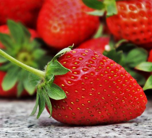 Strawberries Junebearing 'Allstar'